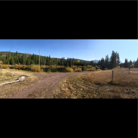 Meet your Posher, Ricky - Picture 2 of 8